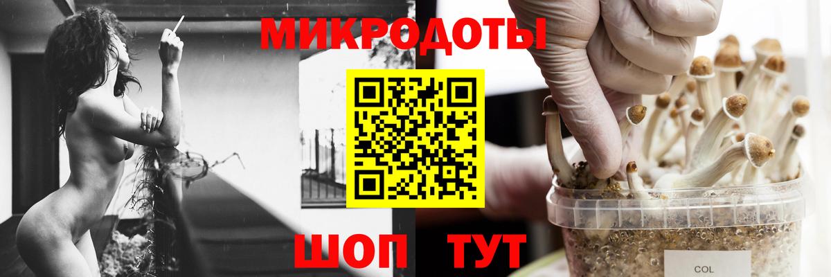 Донецк  Псилоцибиновые грибы GOLDEN TEACHER  Вход с VPN  Галлюциногенные грибы Cubensis 